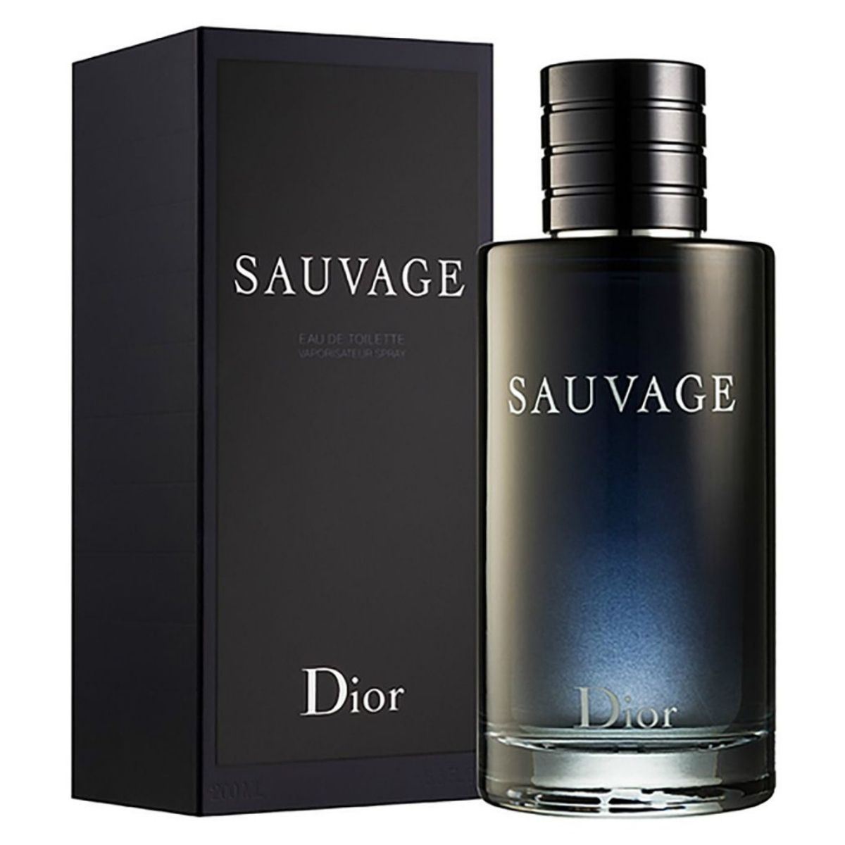 ادو پرفیوم دیور ساواچ 100 میل